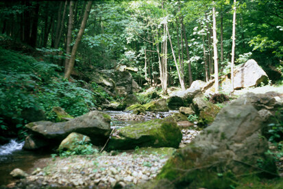 Flächennaturdenkmal Strudellöcher an der Gottleuba (Foto: R. Kretzschmar, Archiv Naturschutz LfULG) 