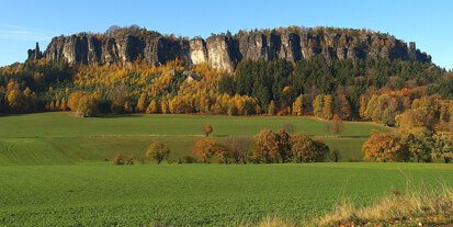 Naturschutzgebiet Papststein (Foto: H. Riebe, Archiv Naturschutz LfULG)