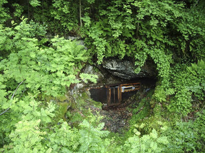 Kalkwerk Rehefeld, Eingangsbereich (Foto: C. Schmidt, Archiv Naturschutz LfULG)