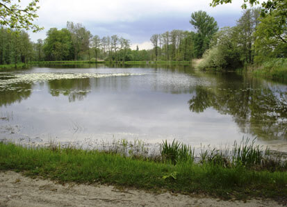 Oberer Teich, Lebensraum für teichgebundene Brutvögel (Foto: Bioplan, Archiv Naturschutz LfULG)