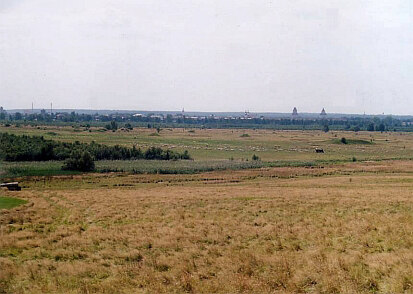 Am Spitzberg (Foto: U. Kleinknecht, Archiv Naturschutz LfULG)