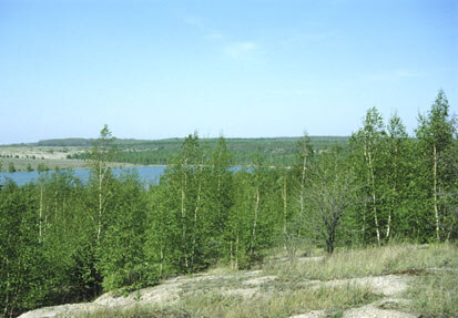 Paupitzscher See – Delitzsch (Foto: S. Straube, Archiv Naturschutz LfULG)