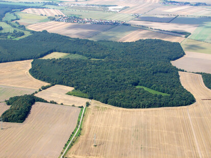 Blick auf das Waldstück Spröde, Schrägluftbild (Foto: F. Meyer, Archiv Naturschutz LfULG)
