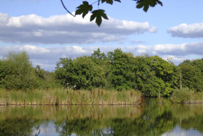 Einer der Teiche im FFH-Gebiet (Foto: J. Stegner, Archiv Naturschutz LfULG)