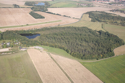 Teilfläche bei Grethen, Blick auf das Naturschutzgebiet »Alte See«, Schrägluftbild (Foto: M. Schneider, Archiv Naturschutz LfULG)