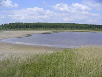 Südostteil des Gewässers (Foto: Ökotop GbR, Archiv Naturschutz LfULG)
