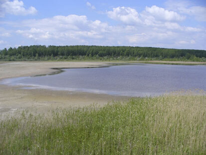 Südostteil des Gewässers (Foto: Ökotop GbR, Archiv Naturschutz LfULG)