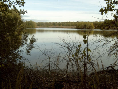 Blick über den Großteich (Foto: Yggdrasil - Beutler, Archiv Naturschutz LfULG)