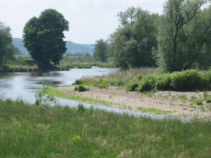 Mulde bei Röda (Foto: U. Kleinknecht, Archiv Naturschutz LfULG)