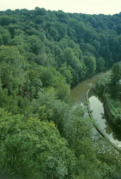 Blick vom Ehrenberger Hang auf das Zschopautal (Foto: S. Krause, Archiv Naturschutz LfULG)