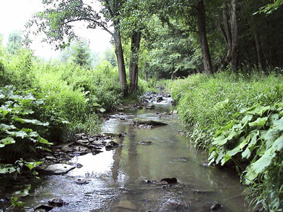 Ausschnitt auf FFH-Gebiet Erlbach- und Aubachtal bei Rochlitz (Foto: Kühfuss, Archiv Naturschutz LfULG)