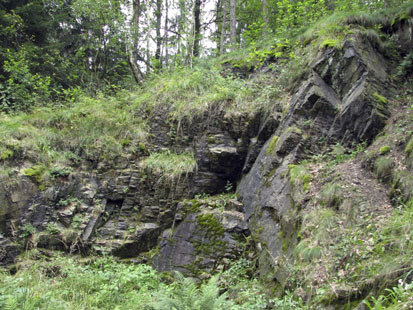 Ehemaliger Steinbruch am Falknerweg mit offenen Felsflächen, Vorkommen des Serpentin-Streifenfarns (Foto: BIOS, Archiv Naturschutz LfULG)