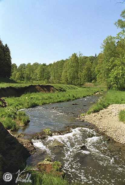 Ausschnitt aus dem FFH-Gebiet Oberes Freiberger Muldetal (Foto: SLS GmbH, Archiv Naturschutz LfULG)