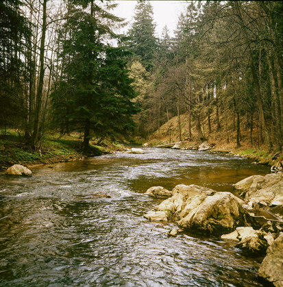 Blick Richtung Reinsberg (Foto: H. Rank, Archiv Naturschutz LfULG)