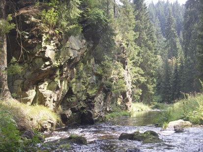 Natzschungtal (Foto: W. Buder, Archiv Naturschutz LfULG)