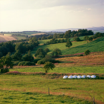 Umgebung des Rauschenbachtales (Foto: W. Böhnert, Archiv Naturschutz LfULG)