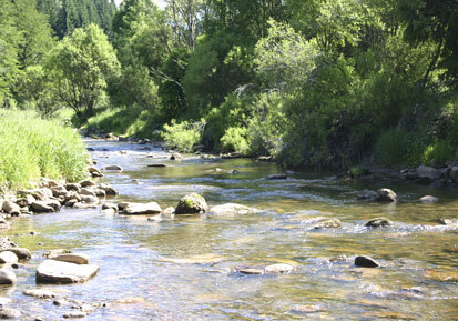 Schwarzwasser (Foto: U. Fischer, Archiv Naturschutz LfULG)