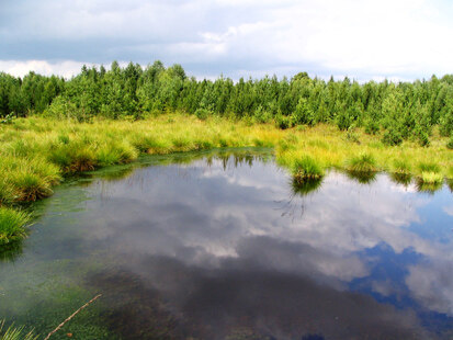 Durch Anstau entstandenes dystrophes Stillgewässer mit gut ausgebildeter Wasservegetation (Foto: H. Sänger, Archiv Naturschutz LfULG)