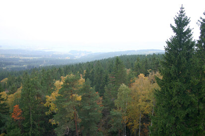 Blick vom Steinberg-Aussichtsturm auf das Naturschutzgebiet Steinberg (Foto: F. Klenke, Archiv Naturschutz LfULG)