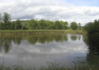 Schafteich (Foto: Planungsbüro Lukas, Archiv Naturschutz LfULG)