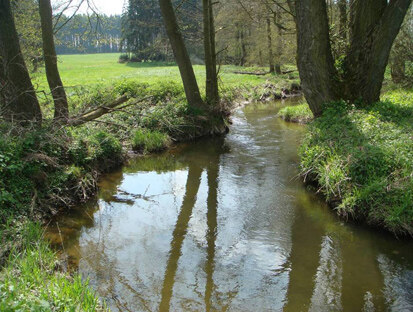 FFH-Gebiet Wiesenta und Zeitera (Foto: RANA, Archiv Naturschutz LfULG)