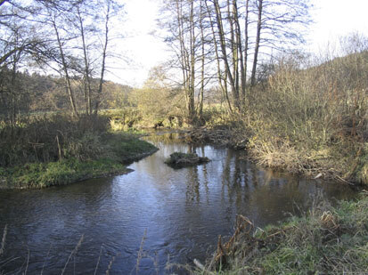 Elster oberhalb Plauen (Foto: Planungsbüro Lukas, Archiv Naturschutz LfULG)