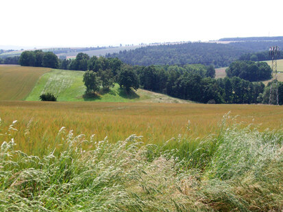 Bachtäler südlich Zwickau (Foto: R. Pausch, Archiv Naturschutz LfULG)