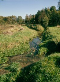 Flußperlmuschel-Habitat im Vogtland (Foto: J. Hennersdorf, Archiv LfUG)