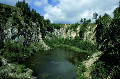 Kalkbruch (Foto: F. Klenke, Archiv Naturschutz LfULG)