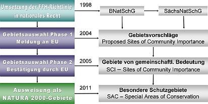 Ablauf der Gebietsmeldung nach FFH-Richtlinie in Sachsen