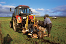 Aufforstungen auf landwirtschaftl. genutzten Flächen sind auf ihre Verträglichkeit zu prüfen (Foto: Archiv Naturschutz LfULG, D. Synatzschke)