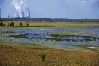 Emissionen von Industrieanlagen können NATURA 2000-Gebiete beeinträchtigen