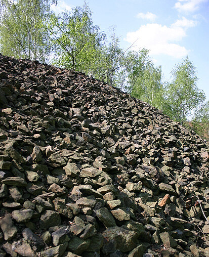 Schwermetallhalde (Foto: Archiv Naturschutz LfULG, C. Hettwer)