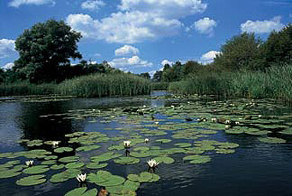 Teichlandschaft Lippitsch (Foto: G. Fünfstück, Archiv Naturschutz LfULG)