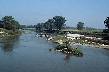 Schlammbank in einem naturnahen Flußabschnitt der Mulde (Foto: U. Zöphel, Archiv Naturschutz LfULG)