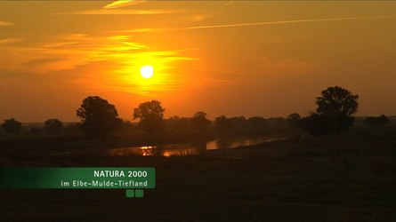 Natura 2000 im Elbe-Mulde-Tiefland
