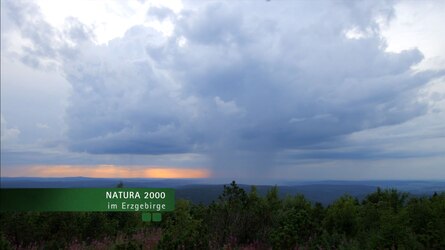 Natura 2000 im Erzgebirge