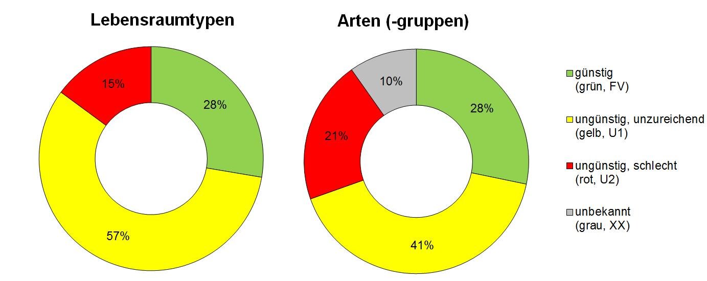 Übersichtsgrafik Erhaltungszustand der Arten und LRT in Sachsen 2013 - 2019