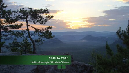 Natura 2000 im Nationalpark Sächsische Schweiz