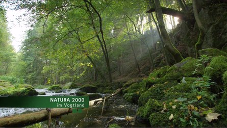 Natura 2000 im Vogtland