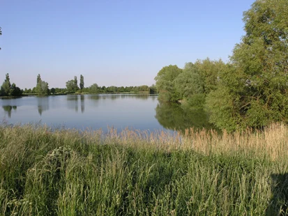 Stauteich bei Wölkau (Foto: H. Blischke, Archiv Naturschutz LfULG)
