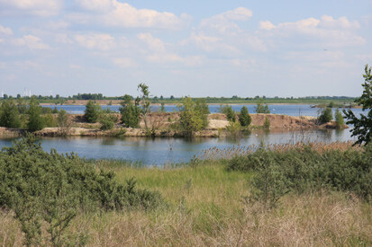 Werbeliner See mit Möwenkolonie auf Abraum-Schüttrippe im Zuge des ehemaligen Braunkohlentagebaus (Foto: H. Blischke, Archiv Naturschutz LfULG)