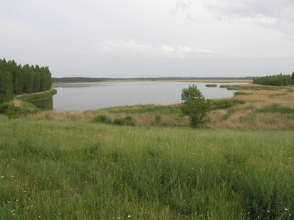 Rückhaltebecken Stöhna (Foto: H. Blischke)