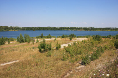 Werbener See (Südufer) (Foto: H. Blischke, Archiv Naturschutz LfULG)