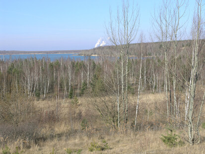 Bergbaufolgelandschaft Haselbach von der Thüringer Seite gesehen (Foto: H. Blischke, Archiv Naturschutz LfULG)