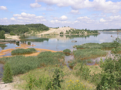 Bockwitzer See - Südende (Foto: H. Blischke, Archiv Naturschutz LfULG)