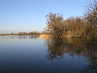 Großer Teich östlich Eschefeld (Foto: H. Blischke, Archiv Naturschutz LfULG)