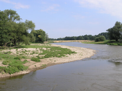 Vereinigte Mulde bei Eilenburg (Foto: H. Blischke, Archiv Naturschutz LfULG)