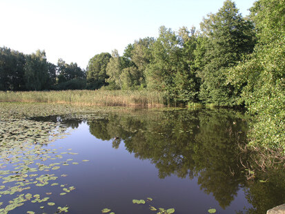 Mühlteich nordwestlich Schöna (Foto: H. Blischke, Archiv Naturschutz LfULG)