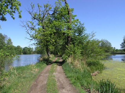 Weg zwischen dem Stachelhorst- und dem Röderteich bei Tiefenau (Foto: H. Blischke, Archiv Naturschutz LfULG)